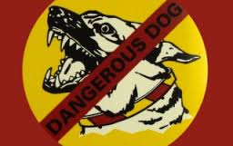 Dangerous dog images