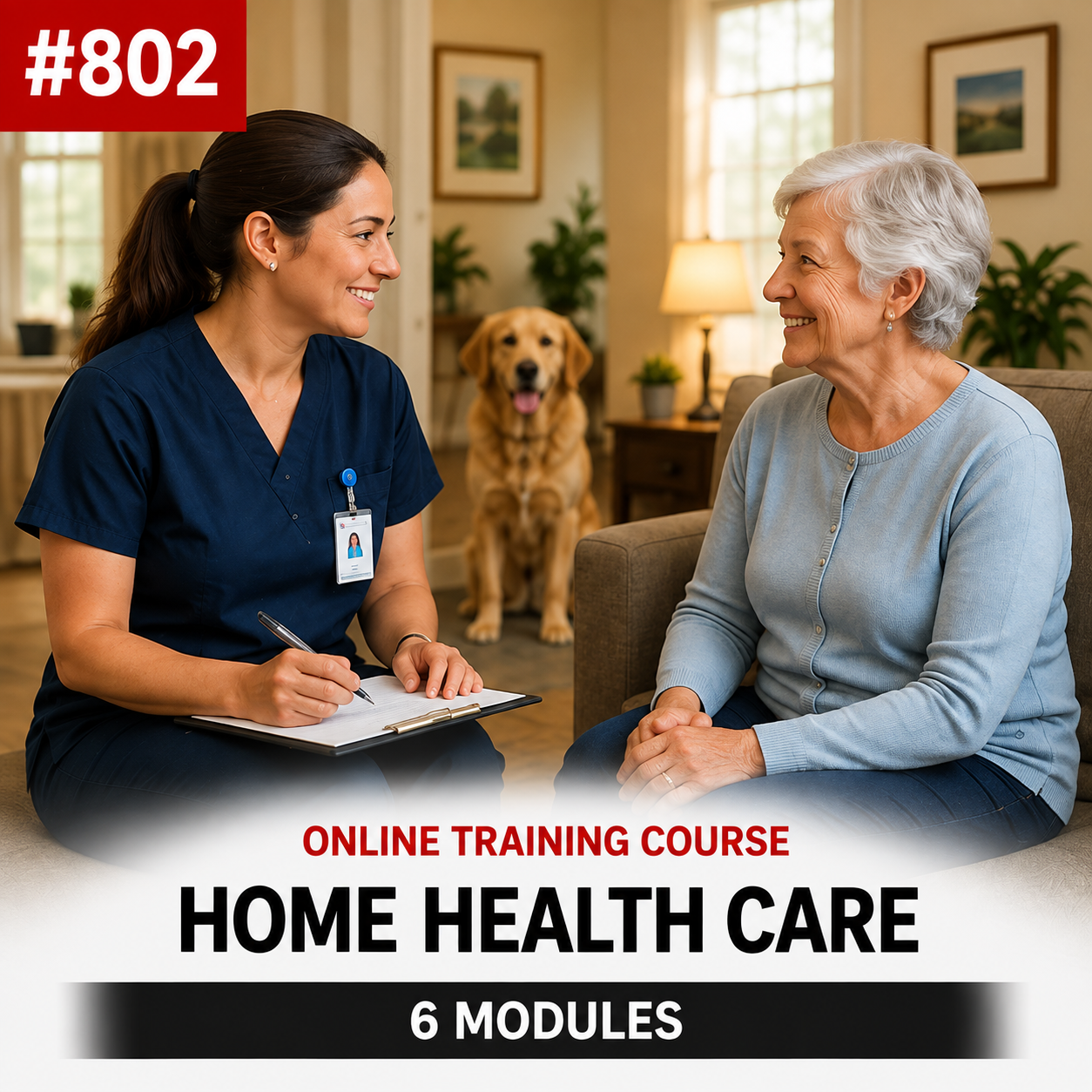 Online Training Course #802