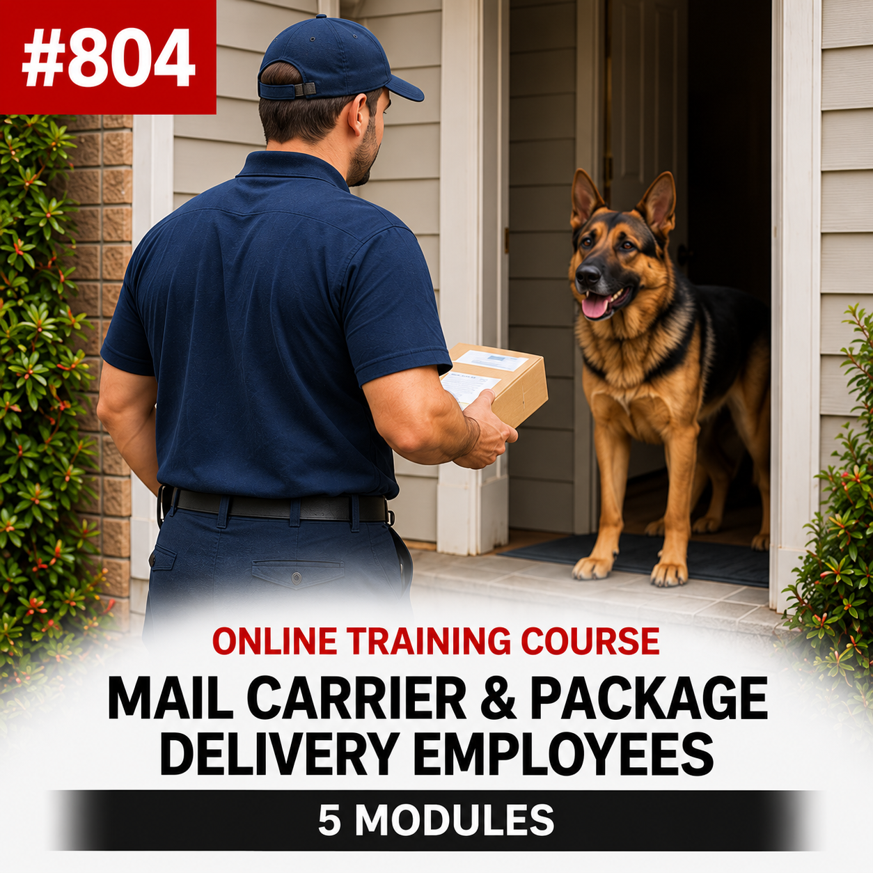 Online Training Course #804